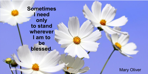 Sometimes I need  only to stand wherever I am to be blessed.   Mary Oliver